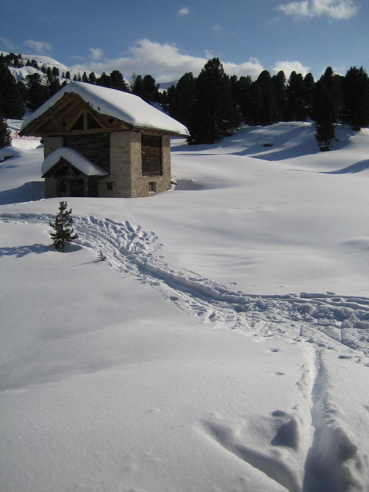 Chalet Elisabeth Dolomites Alpin & Charme Hotell Selva di Val Gardena Exteriör bild