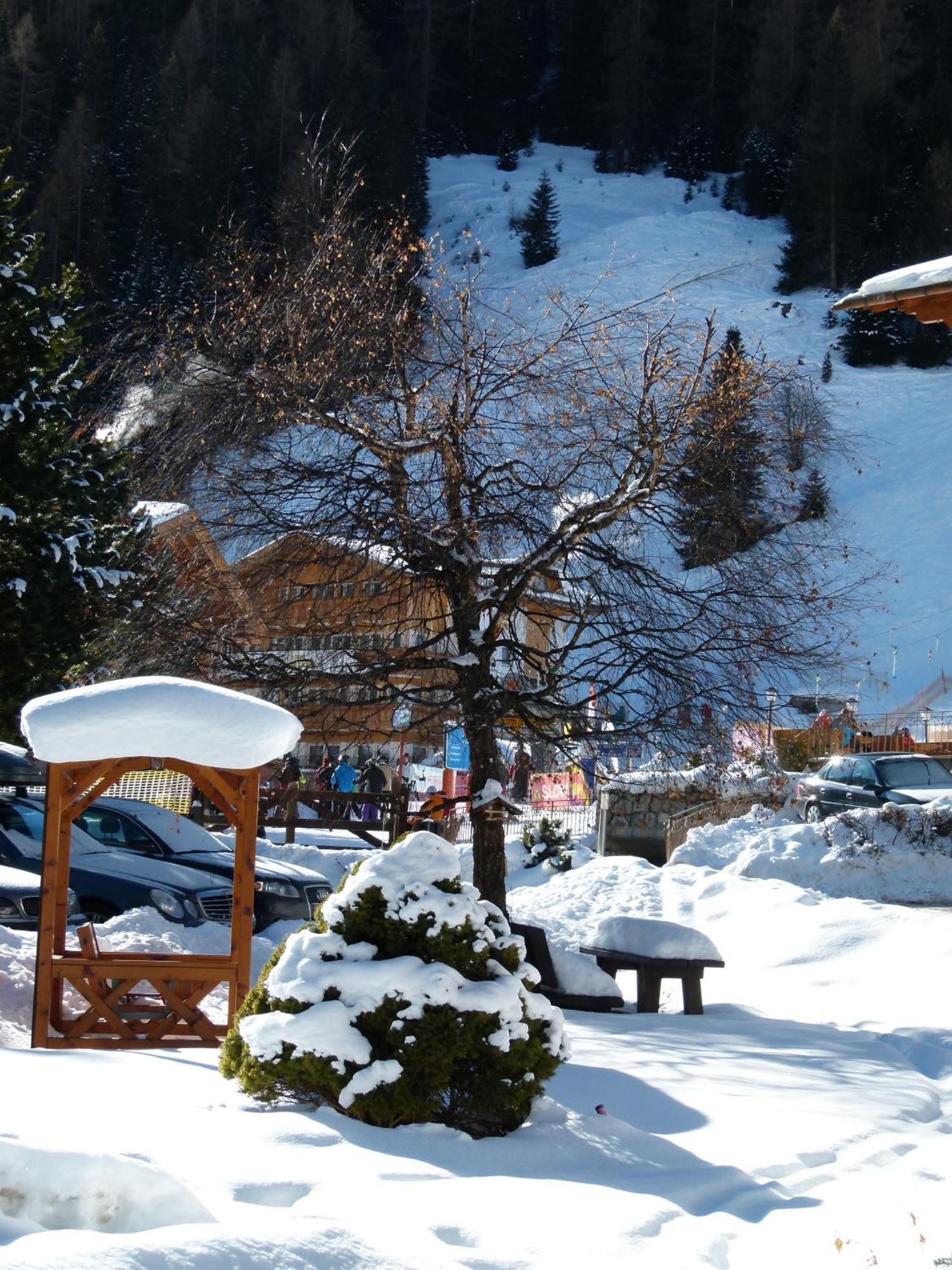 Chalet Elisabeth Dolomites Alpin & Charme Hotell Selva di Val Gardena Exteriör bild