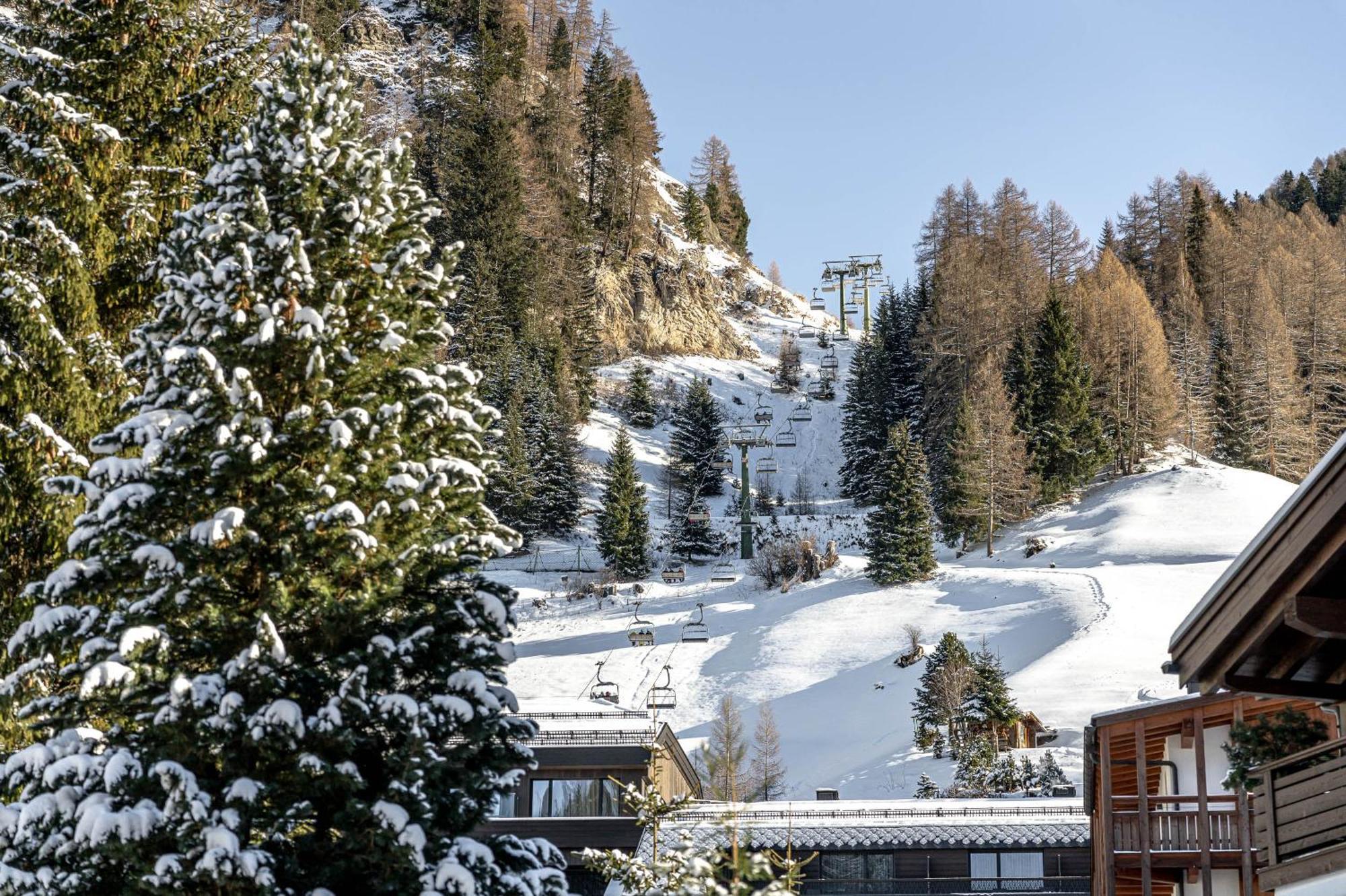 Chalet Elisabeth Dolomites Alpin & Charme Selva di Val Gardena Exteriör bild